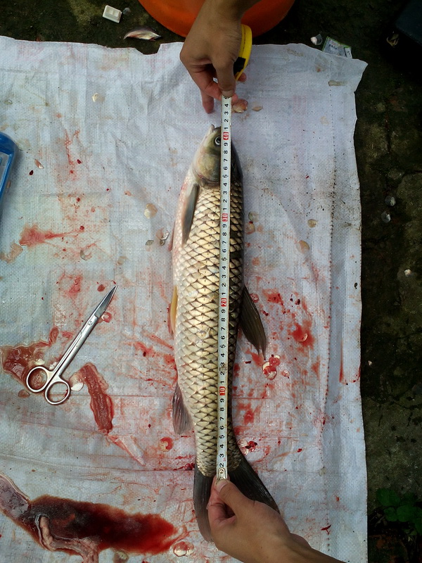 101944301.jpg 1552614963112876.jpg