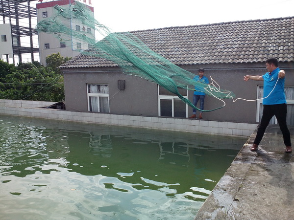 102100337.jpg 1552614989227810.jpg