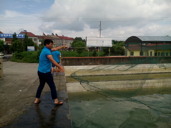 102226280.jpg 1552615004113754.jpg