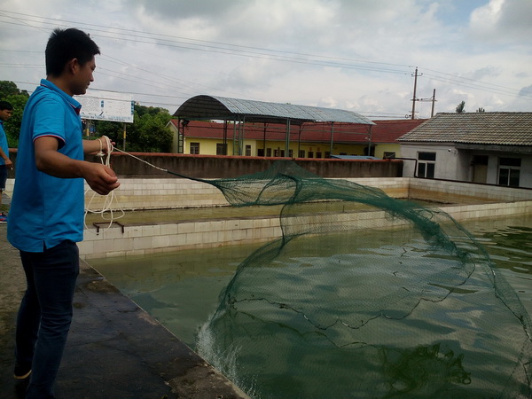 102301699.jpg 1552615011255737.jpg