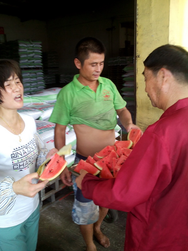 102730105.jpg 1552615080394601.jpg