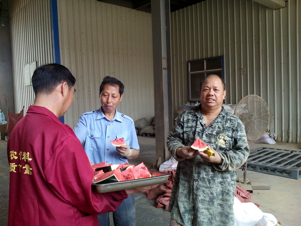 102915100.jpg 1552615120845617.jpg