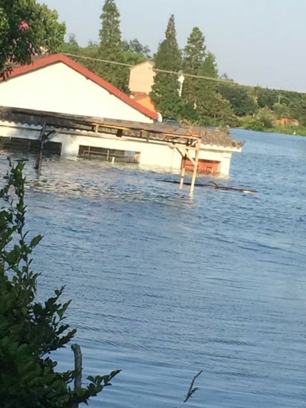 103214107.jpg 1552615162100767.jpg