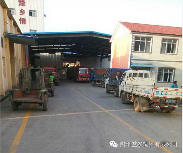 103548186.jpg 1552615162114640.jpg