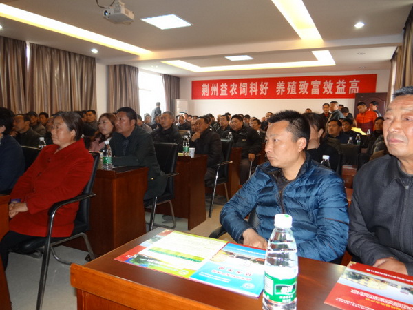 112014123.jpg 1552615317429026.jpg