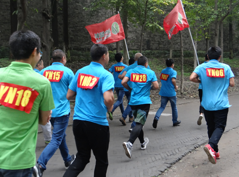 151950354.png 1552615593630071.png