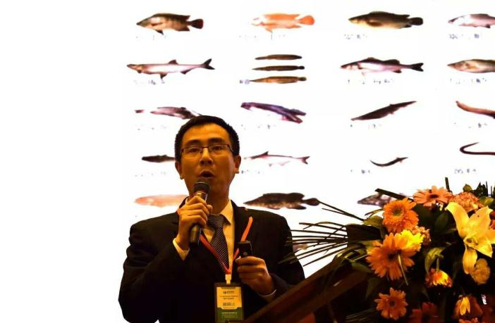 163508602.png 1552615768103022.png