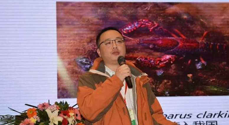 163620994.png 1552615768124964.png