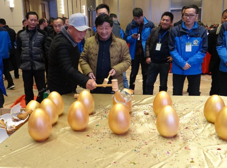 164046439.png 1552615768230133.png