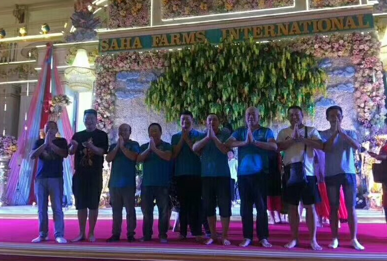 171130130.png 1552615726676029.png