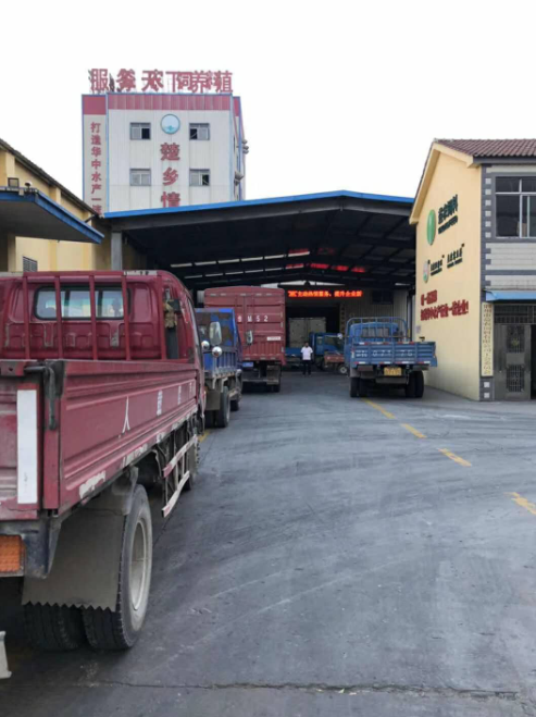 172502745.png 1552615846787051.png