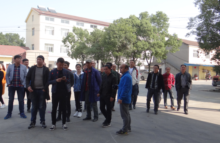 172955258.png 1552615628206337.png