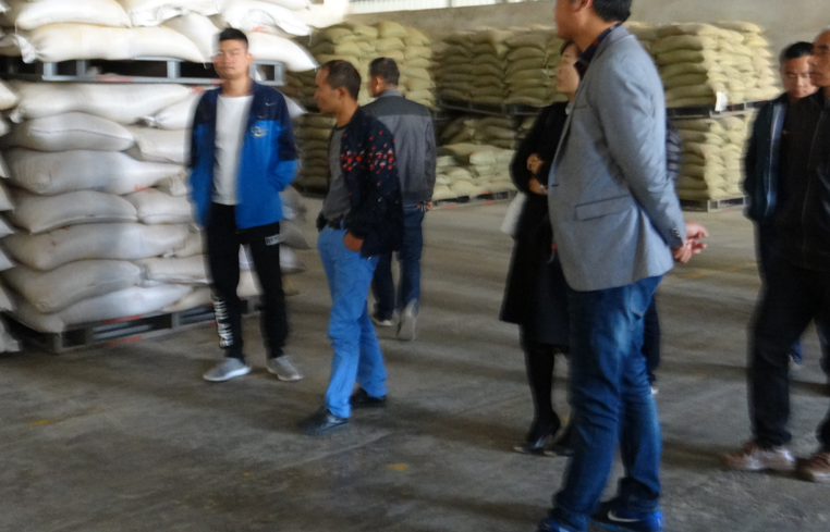 173139117.png 1552615628243258.png