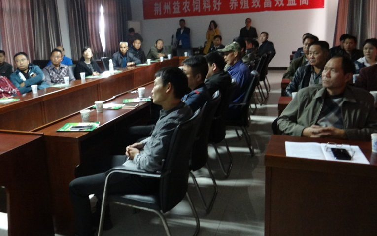 173716732.png 1552615628123294.png