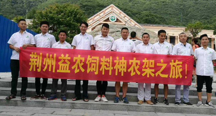 174135109.png 1552615414161498.png