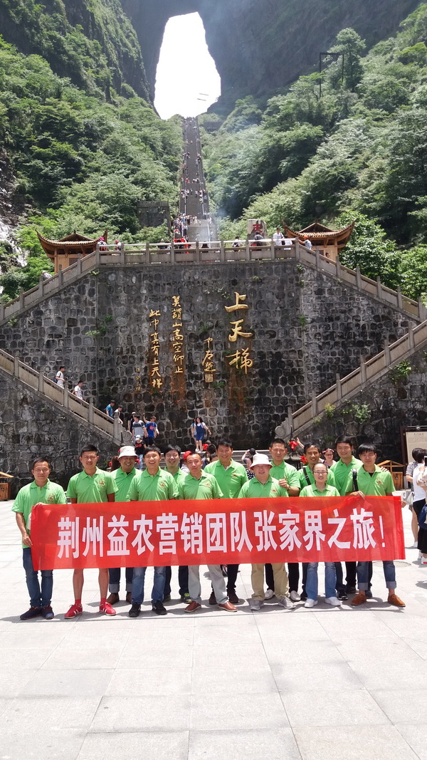 100634958.jpg 1552616091123359.jpg